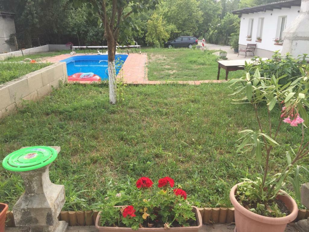Piknik Apartmant Fertőrákos Kültér fotó